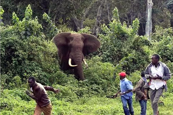 In Tanzania, wild animals kill one person every 52 hours